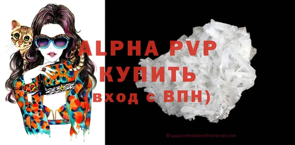 амф Верея