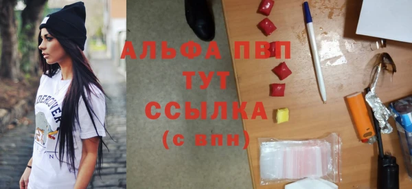 ECSTASY Новозыбков
