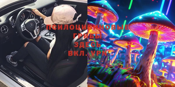 амф Верея