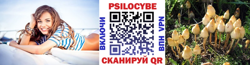 Псилоцибиновые грибы прущие грибы Лесосибирск